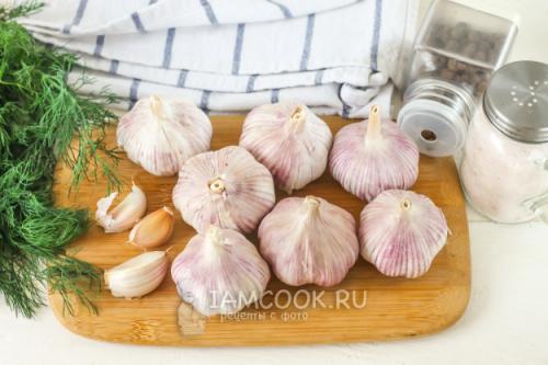 Как правильно засолить чеснок на зиму: советы и рецепты 03 Как правильно засолить чеснок на зиму: советы и рецепты 03