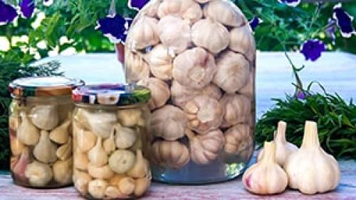 Для чего солят чеснок на зиму. ТОП-3 рецепта, в которых описано, как солить чеснок в рассоле