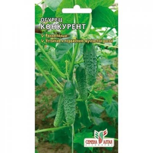 Выбор идеального огурца: топ-10 сортов для средней полосы 05 Выбор идеального огурца: топ-10 сортов для средней полосы 05