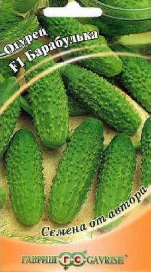 Выбор идеального огурца: топ-10 сортов для средней полосы 07 Выбор идеального огурца: топ-10 сортов для средней полосы 07