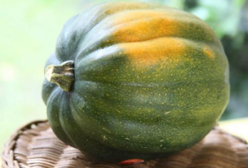 Зеленая тыква внутри. Сорта с фото и описанием тыквы зеленой: стоит ли покупать и выращивать полезные плоды