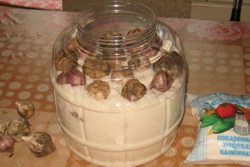 Какие преимущества хранения чеснока в банках с солью перед другими методами. Способы