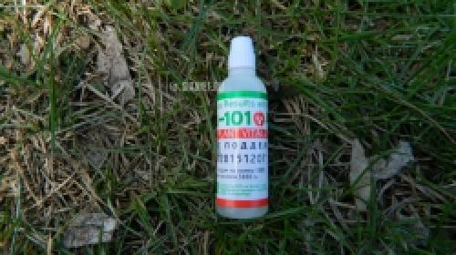 Как защитить розы от весенних заморозков: советы садоводам 15 Как защитить розы от весенних заморозков: советы садоводам 15