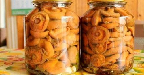 Маринованные рыжики с уксусом. Другие рецепты