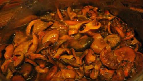 Рыжики маринованные без стерилизации. Маринованные рыжики на зиму – простой рецепт в банках с уксусом