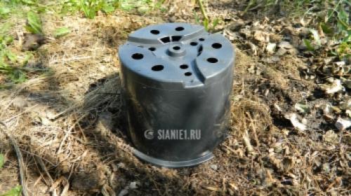 Живы ли розы после весенних заморозков: миф или реальность 09 Живы ли розы после весенних заморозков: миф или реальность 09