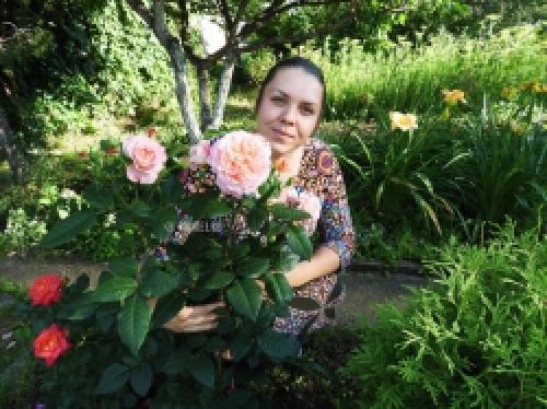 Живы ли розы после весенних заморозков: миф или реальность 18 Живы ли розы после весенних заморозков: миф или реальность 18