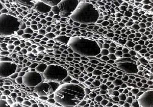 Почему дрова трещат при сгорании: научное объяснение 03 Почему дрова трещат при сгорании: научное объяснение 03