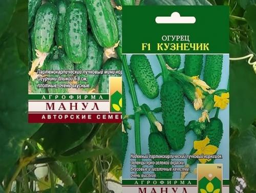 Лучшие сорта огурцов для открытого грунта в Сибири. 20 лучших урожайных сортов огурцов для выращивания в открытом грунте и теплицах Сибири