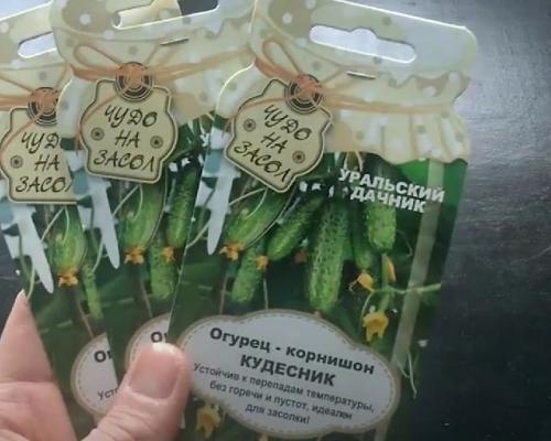 Лучшие сорта огурцов для открытого грунта в Сибири. 20 лучших урожайных сортов огурцов для выращивания в открытом грунте и теплицах Сибири