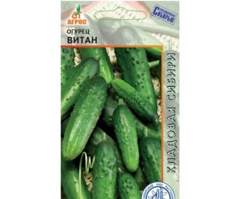 Лучшие сорта огурцов для открытого грунта в Сибири. 20 лучших урожайных сортов огурцов для выращивания в открытом грунте и теплицах Сибири