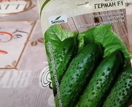 Лучшие сорта огурцов для открытого грунта в Сибири. 20 лучших урожайных сортов огурцов для выращивания в открытом грунте и теплицах Сибири