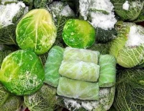 Как правильно хранить подмерзшую капусту, чтобы не испортилась. Оптимальные условия