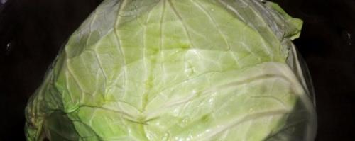 Как спасти подмерзшую капусту: полезные советы и рецепты 18 Как спасти подмерзшую капусту: полезные советы и рецепты 18