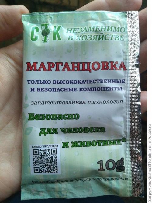 Как использовать подмерзшую капусту для удобрения почвы. Мой секрет улучшения почвы после сбора капусты