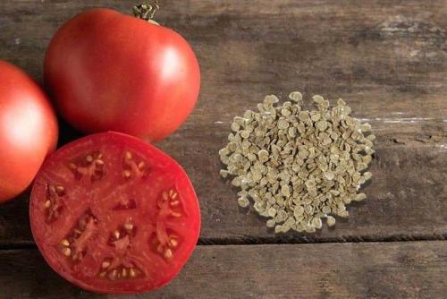 Как состарить семена томатов. Как оживить старые семена томатов