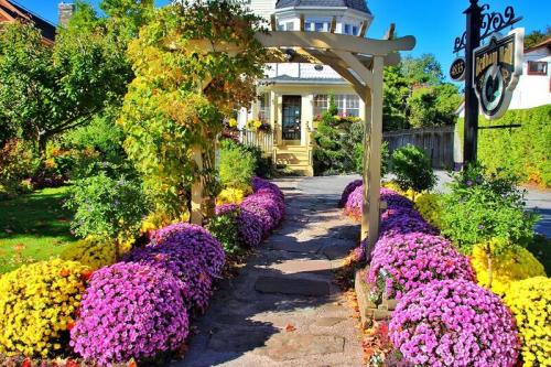 Самый главный секрет хризантемы мультифлора: что вы не знали о этих цветах 04 Самый главный секрет хризантемы мультифлора: что вы не знали о этих цветах 04