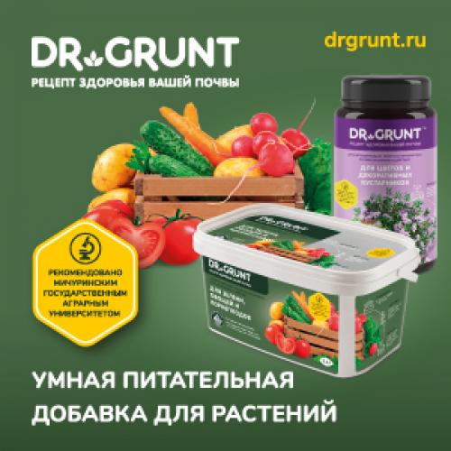 Как бороться с паршой на картофеле. Как бороться с паршей на картофеле