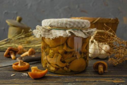 Рыжики по-царски рецепт. Засолка рыжиков с дубовыми листьями