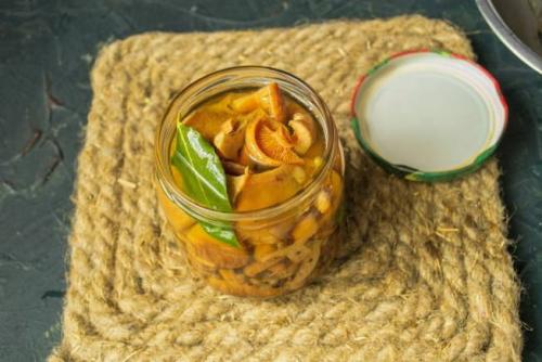 Рыжики по-царски рецепт. Засолка рыжиков с дубовыми листьями