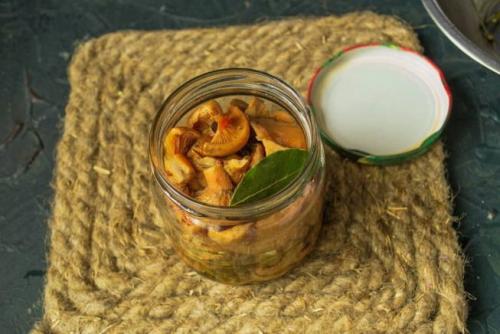 Рыжики по-царски рецепт. Засолка рыжиков с дубовыми листьями