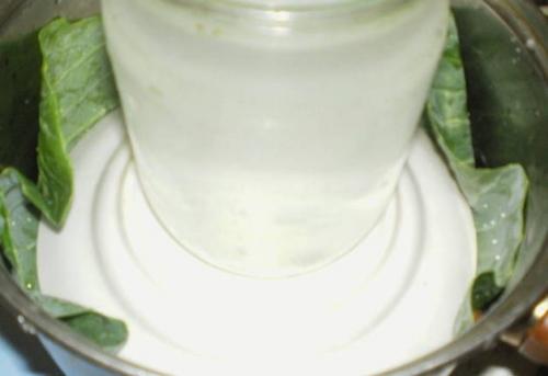 Рыжики по-царски рецепт. Засолка рыжиков с дубовыми листьями