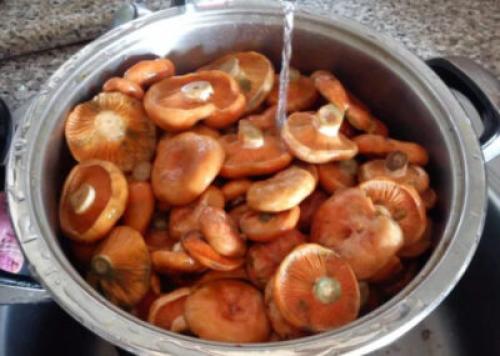 Сколько варить рыжики в супе. Сколько варить рыжики