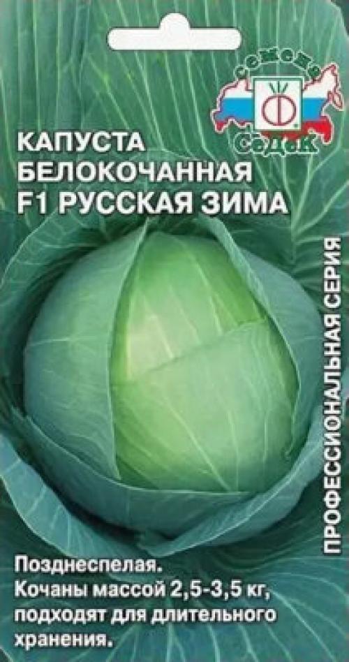 Какие виды капусты более устойчивы к заморозкам. Сколько градусов мороза капуста выдерживает осенью