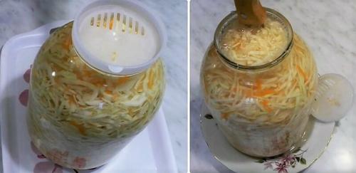 Как долго нужно держать капусту в солевом растворе. Хрустящая квашеная капуста — 12 классических и вкусных рецептов на зиму