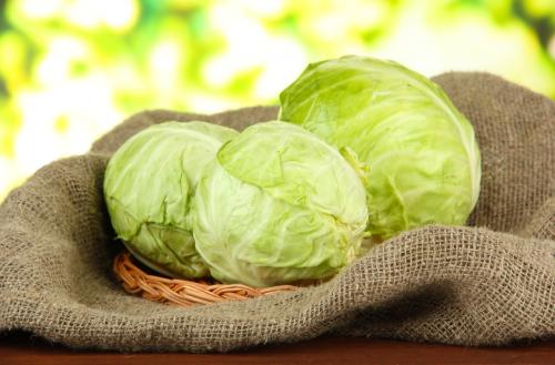 Необходимо ли убирать побеги и оставлять только головки капусты перед наступлением заморозков. Основные правила сбора поздней капусты