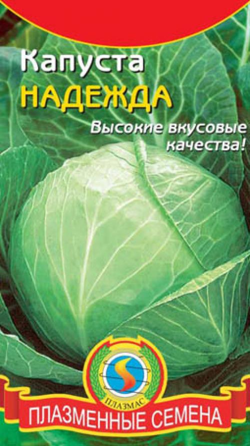 Оптимальные сроки и способы соления капусты на зиму 03 Оптимальные сроки и способы соления капусты на зиму 03