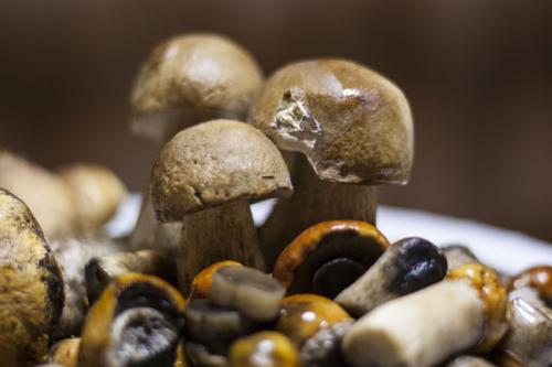 Каковы основные принципы правильной обработки грибов перед жаркой. Правила обработки грибов