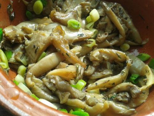 Секреты приготовления вкусной жареной вешенки: основные правила и рецепты 09 Секреты приготовления вкусной жареной вешенки: основные правила и рецепты 09