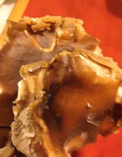 Какой должна быть температура воды при мытье вешенок. Какая влажность должна быть при выращивании вешенки