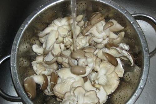 Какие способы обработки вешенок предпочтительнее: мытье или отваривание. Как варить вешенки и что из них приготовить