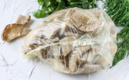 Какой срок годности у отваренных грибов вешенок. Срок хранения свежей вешенки