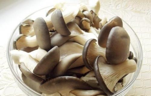 Как выбрать правильную сковороду для жарки вешенок. Предварительная подготовка грибов