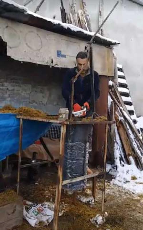 Могут ли лесные вешенки содержать вредные микроорганизмы, которые нужно уничтожить во время варки. Что происходит при тепловой обработке сырья