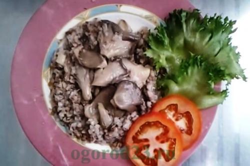 Как варение влияет на вкус и текстуру лесных вешенок. Как вешенки готовить?