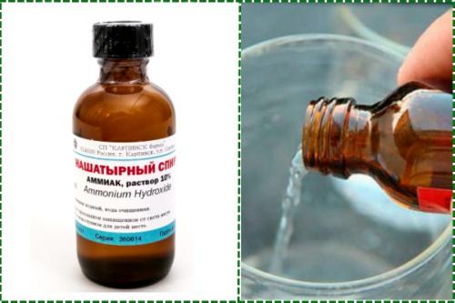 Грядка под клубнику. Грядки для клубники своими руками: интересные идеи