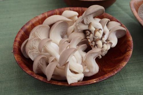 Какой метод жарки вешенок наиболее популярен среди опытных поваров. Как жарить вешенки и нужно ли отваривать грибы перед жаркой