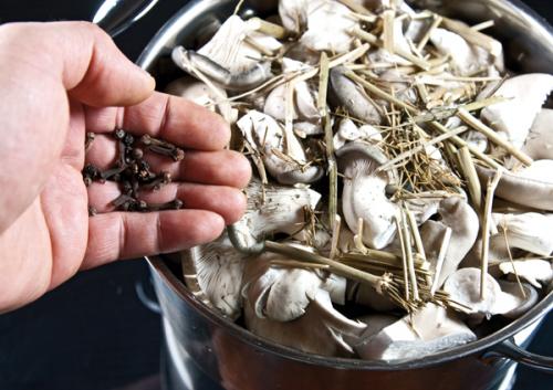 Можно ли промывать вешенки перед замаринованием. Экспресс-маринование свежих вешенок