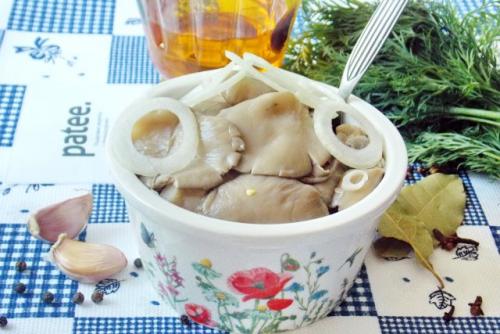 Как правильно подготовить вешенки перед жаркой. Подготовка вешенок перед приготовлением