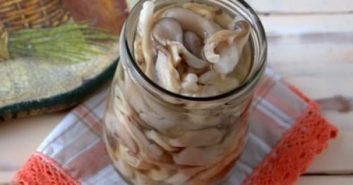 Шаг за шагом: рецепт приготовления вешенок жареных с луком 22 Шаг за шагом: рецепт приготовления вешенок жареных с луком 22