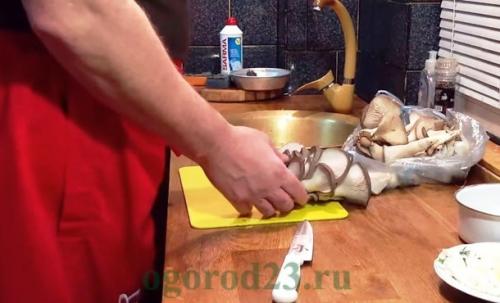 Почему вешенки считаются диетическим продуктом. Вешенки – польза организму