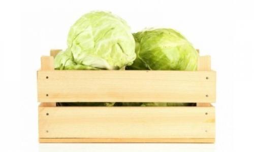 Как хранить капусту в погребе форум. Как лучше: способы