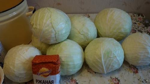 Как хранить капусту в холодильнике. Сколько капуста хранится в холодильнике