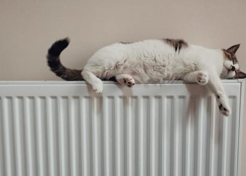 Биметаллические радиаторы: преимущества и недостатки по сравнению с алюминиевыми 01