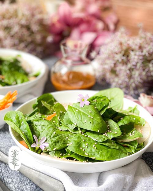 Какие протеиновые продукты можно добавить в салат вместо шпината. 14 вкусных ПП рецептов со шпинатом