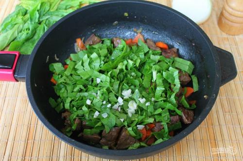 Какие полезные свойства имеет шпинат. Шпинат: польза, вред, рецепты блюд